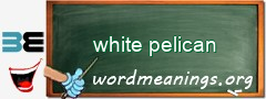 WordMeaning blackboard for white pelican
